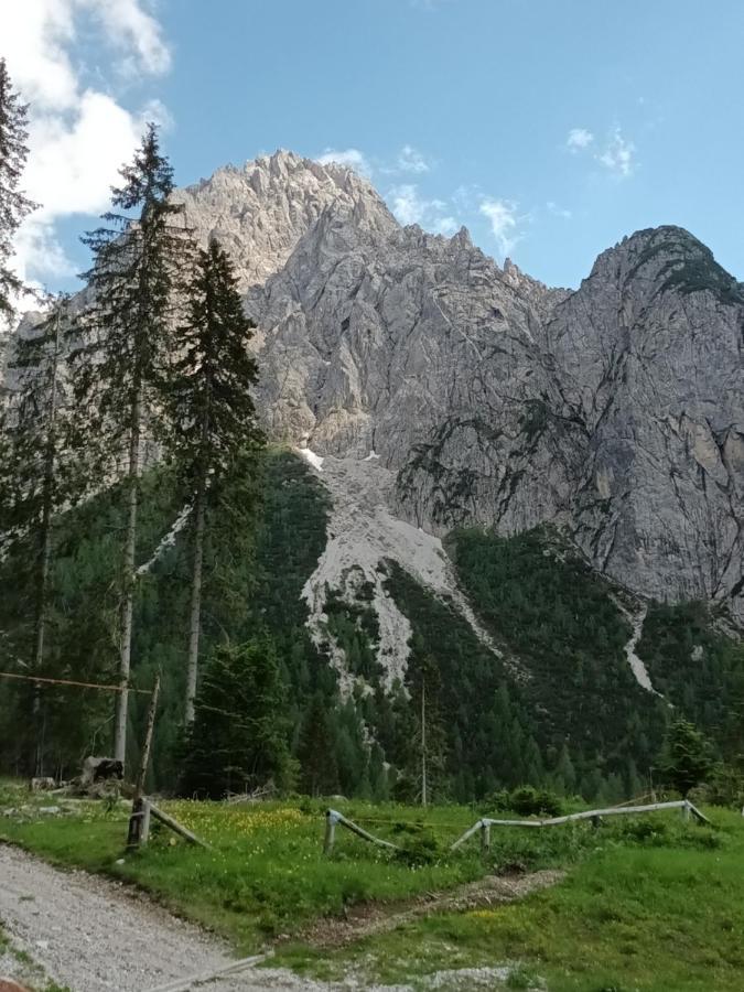 Appartamenti Patrizia San Pietro di Cadore Exterior foto
