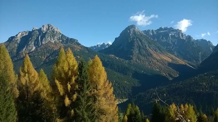 Appartamenti Patrizia San Pietro di Cadore Quarto foto