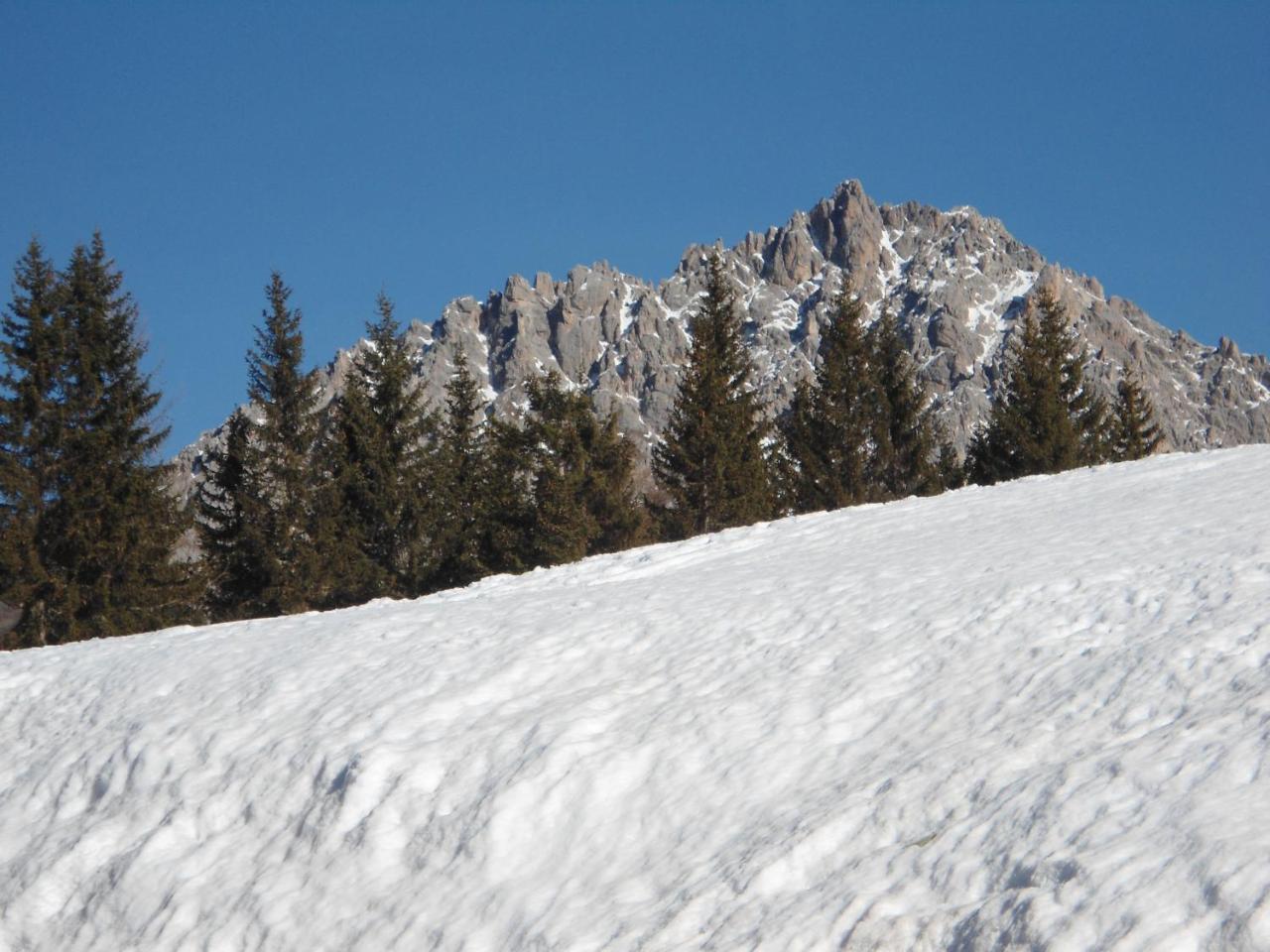 Appartamenti Patrizia San Pietro di Cadore Exterior foto